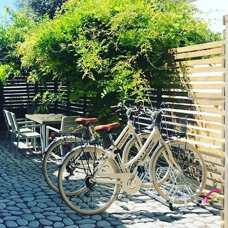 מלון Hotel Suite Inn