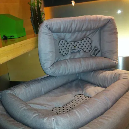 Hotel Suite Inn מלון