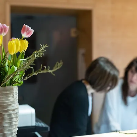 Otel Hotel Suite Inn