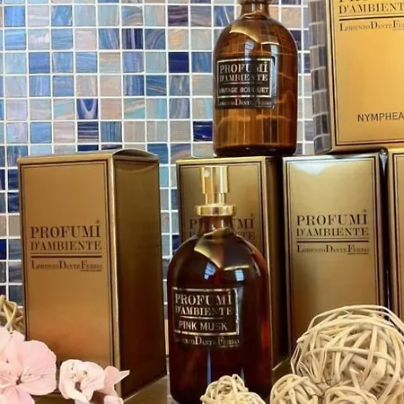 Hotel Suite Inn מלון