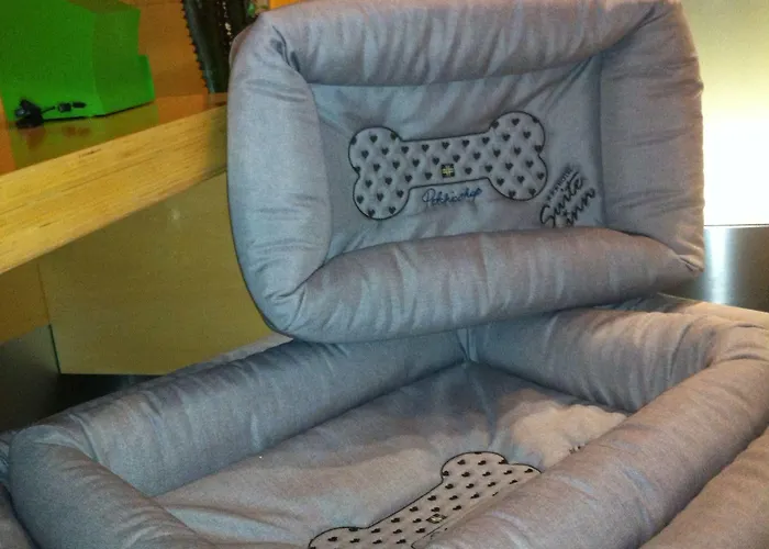 Hotel Suite Inn Hotel