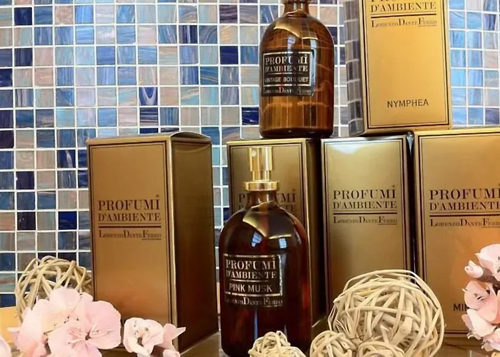 Hotel Suite Inn Hotel